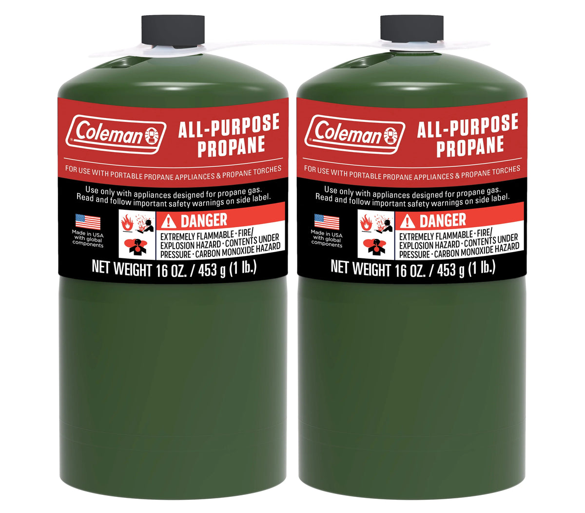 16 ounce 2-Pack Propane Gas Cylinder S50859