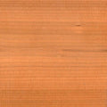 Cedar Garden Swing X6061