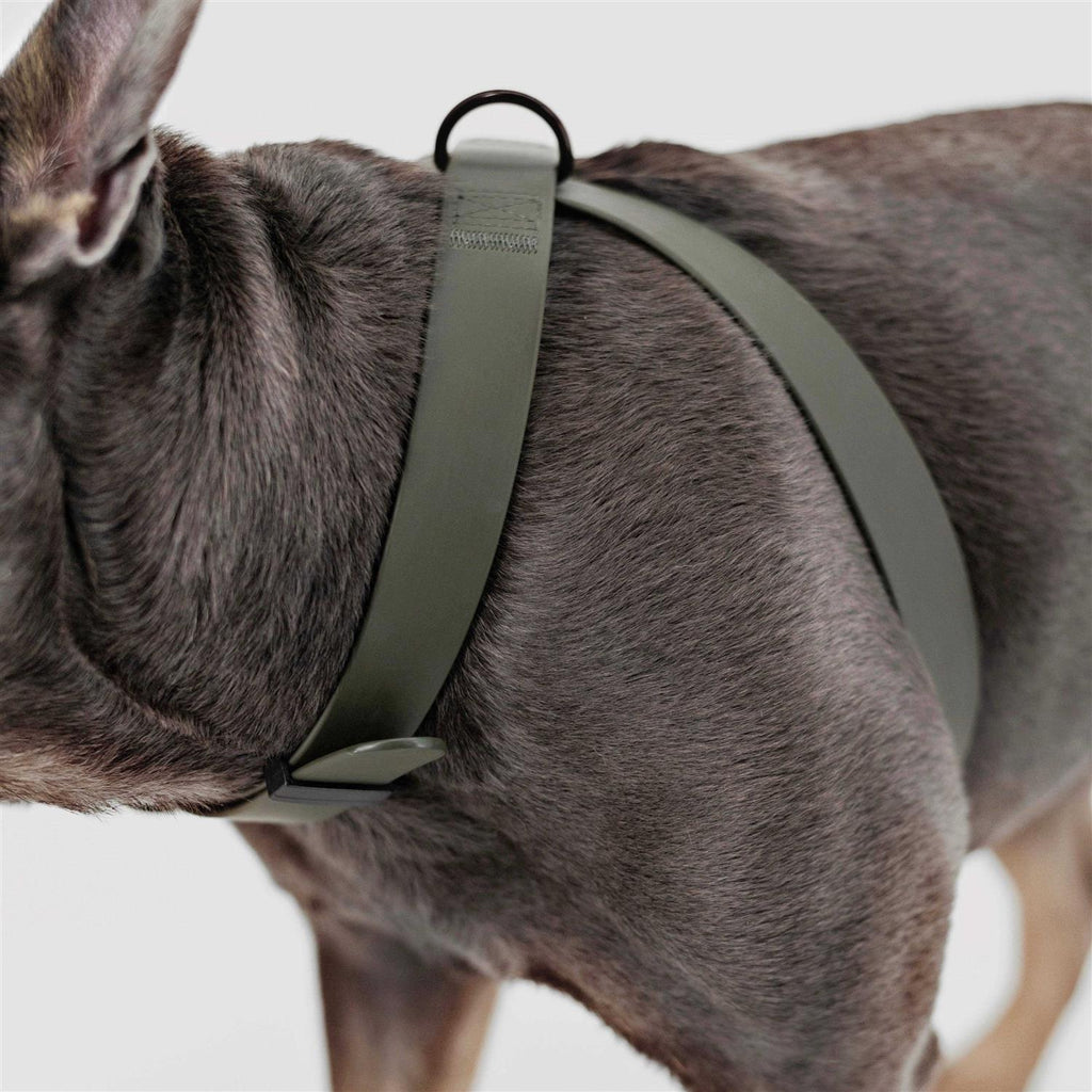 Dog Harness Dog Leash G51479