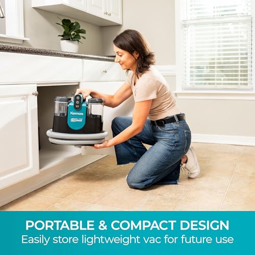 Portable Carpet Spot Cleaner & Pet Stain Remover X1401