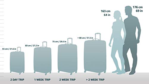 Hardside Spinner Wheel Luggage, Carry-On 20" A35026