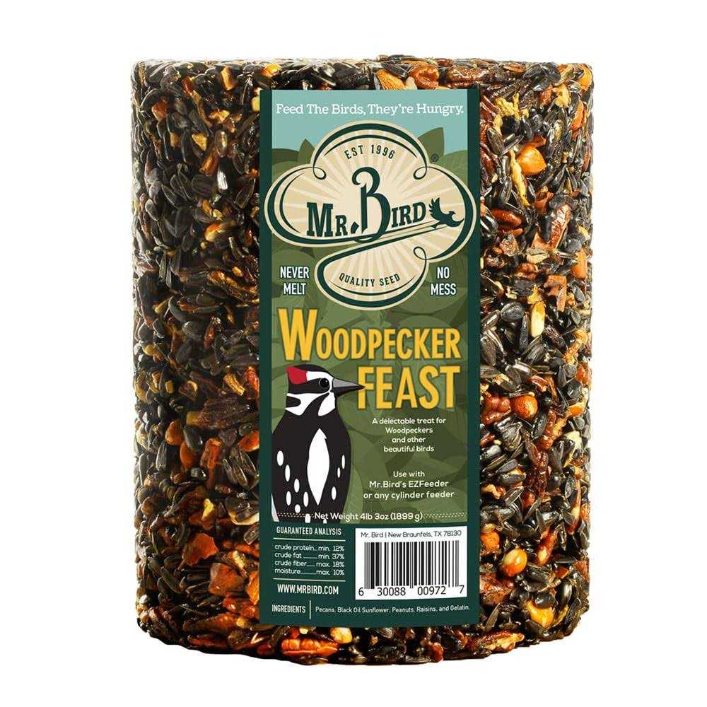 Woodpecker Feast Cylinder N27189