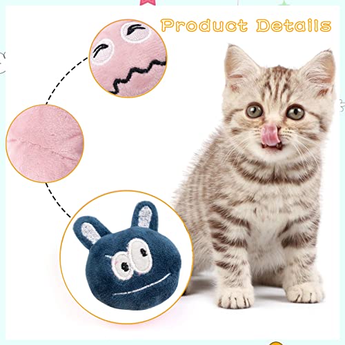 10 Pcs Christmas Catnip Plush Cat Toys T176