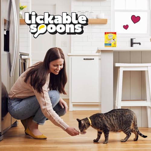 48 Spoons Variety Pack Lickable Wet Cat Treats X8821