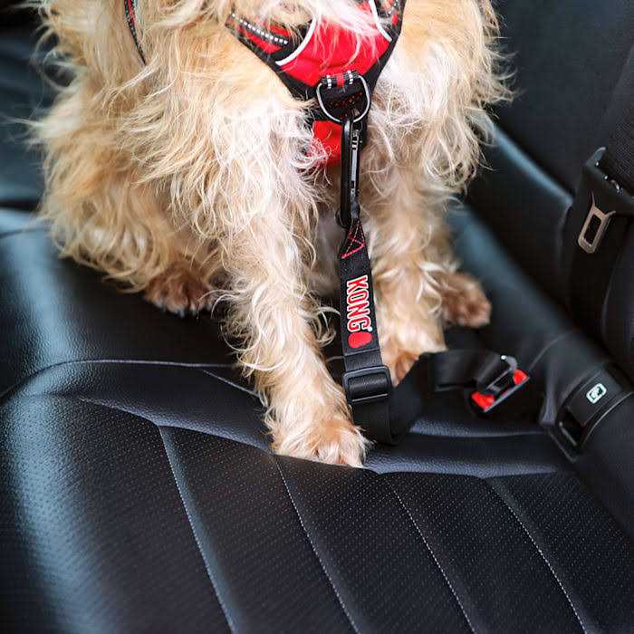 Seat Belt Tether P820