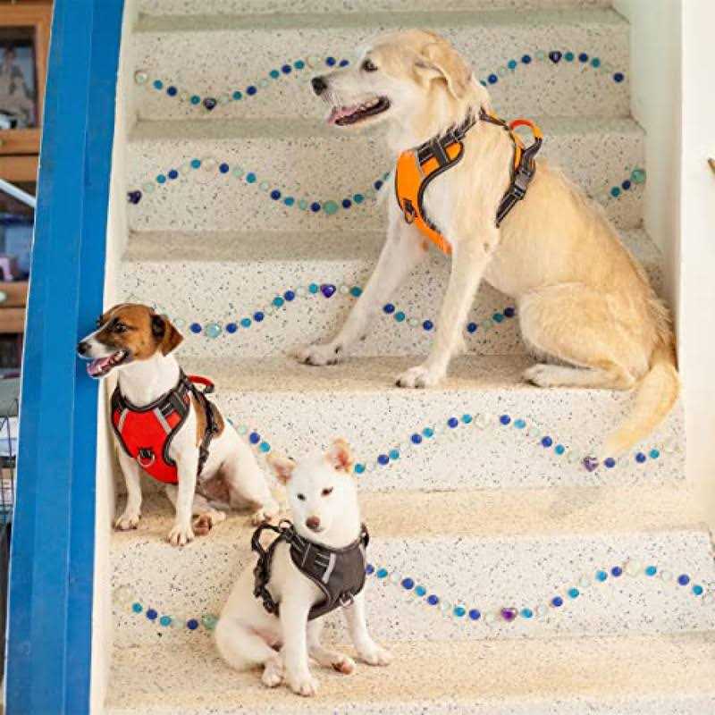 Adjustable Reflective Oxford Dog Harness with 5ft Dog Leash V919