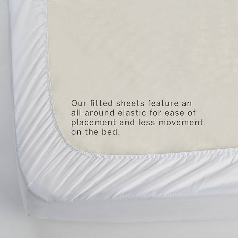 Ivory Queen Supima Cotton Sateen Fitted Sheet V44678