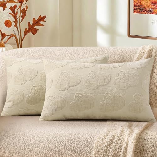 Christmas Chenille Soft Throw Pillow Covers 18x18 Set of 2 H311