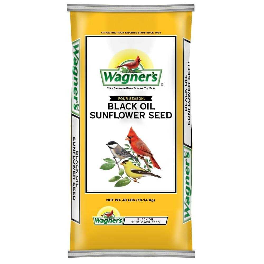 Black Oil Sunflower Seed S892