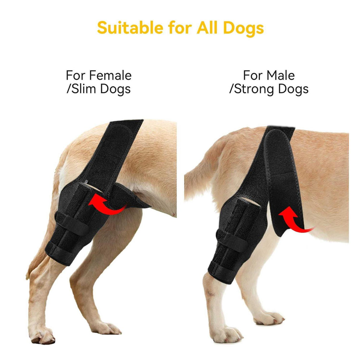 Dog Knee Brace with Cruciate Ligament E704