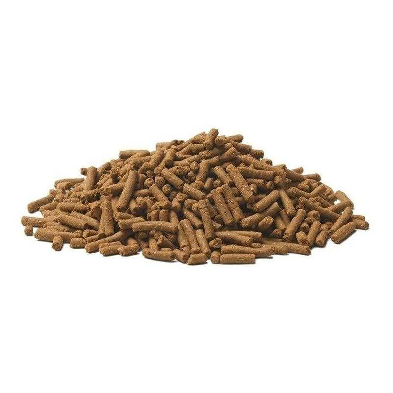 Dog Food T962