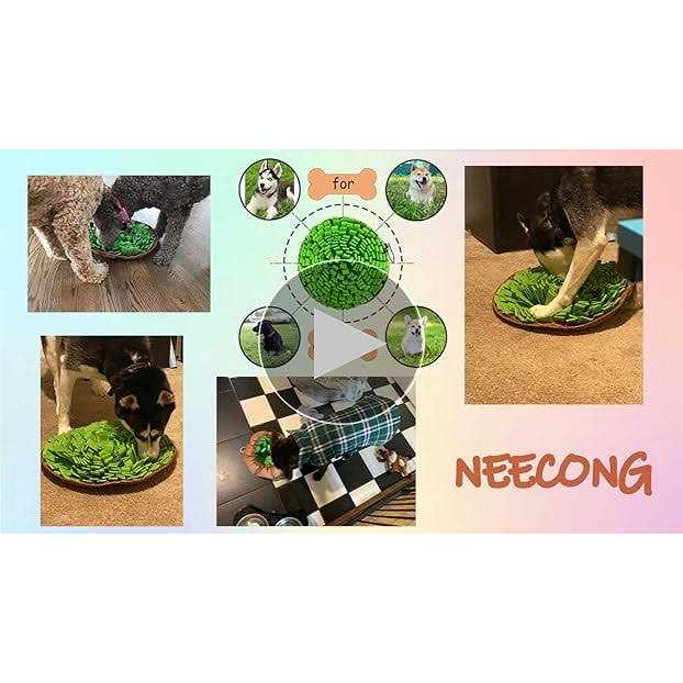 Pet Snuffle Mat N12674