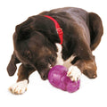 Squirrel Dude Dog Toy B331