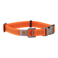 Dog Collar O13799