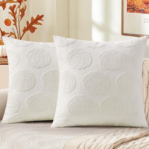 Christmas Chenille Soft Throw Pillow Covers 18x18 Set of 2 H311