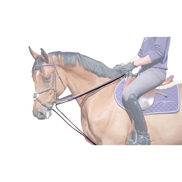 Leather/Nylon Draw Reins F939