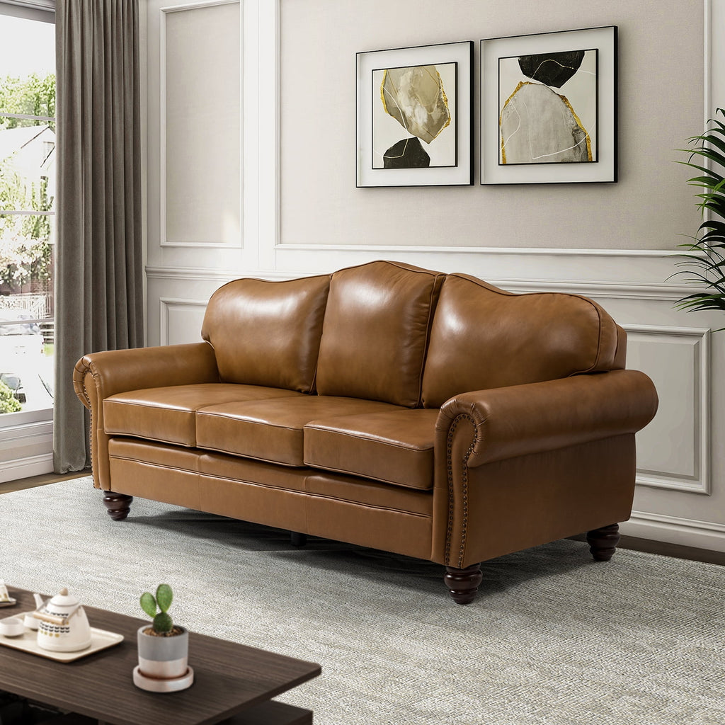 Transitional Sofa with Removable Cushions and Nailhead Trim Z21418