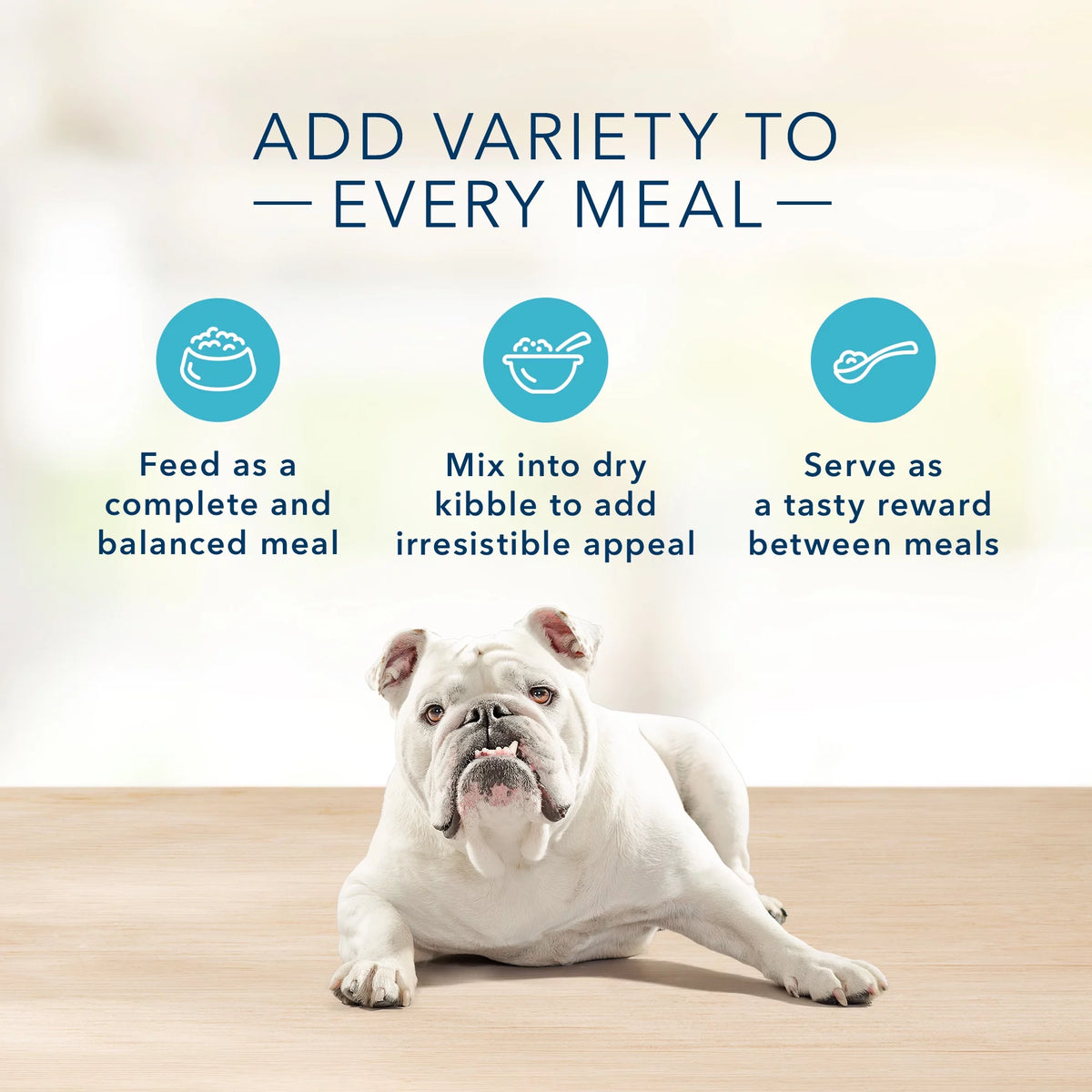 Turkey Pate Grain-Free Wet Dog Food 12.5 oz G490