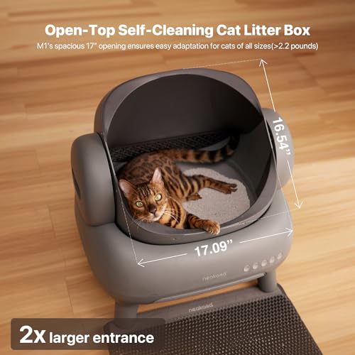 Open-Top Self Cleaning Automatic Cat Litter Box C823