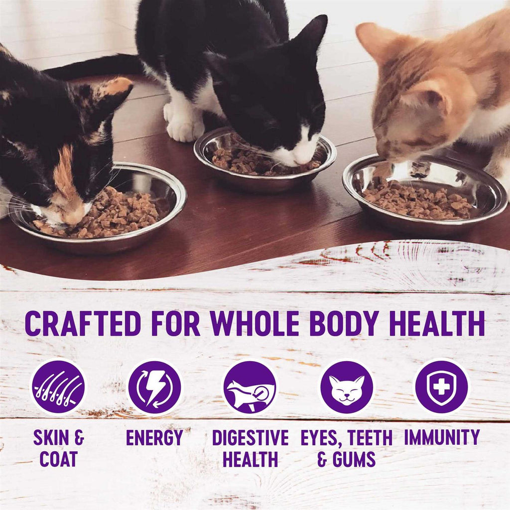 Chicken & Turkey Wet Adult Cat Food Variety Pack G8438