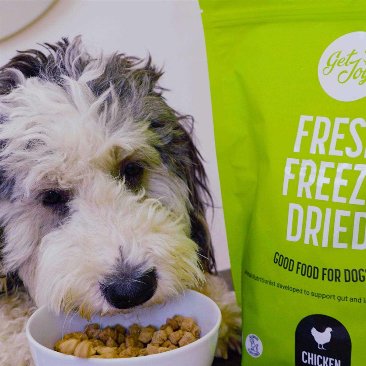 Freeze Dried Raw Beef Dog Food D817725