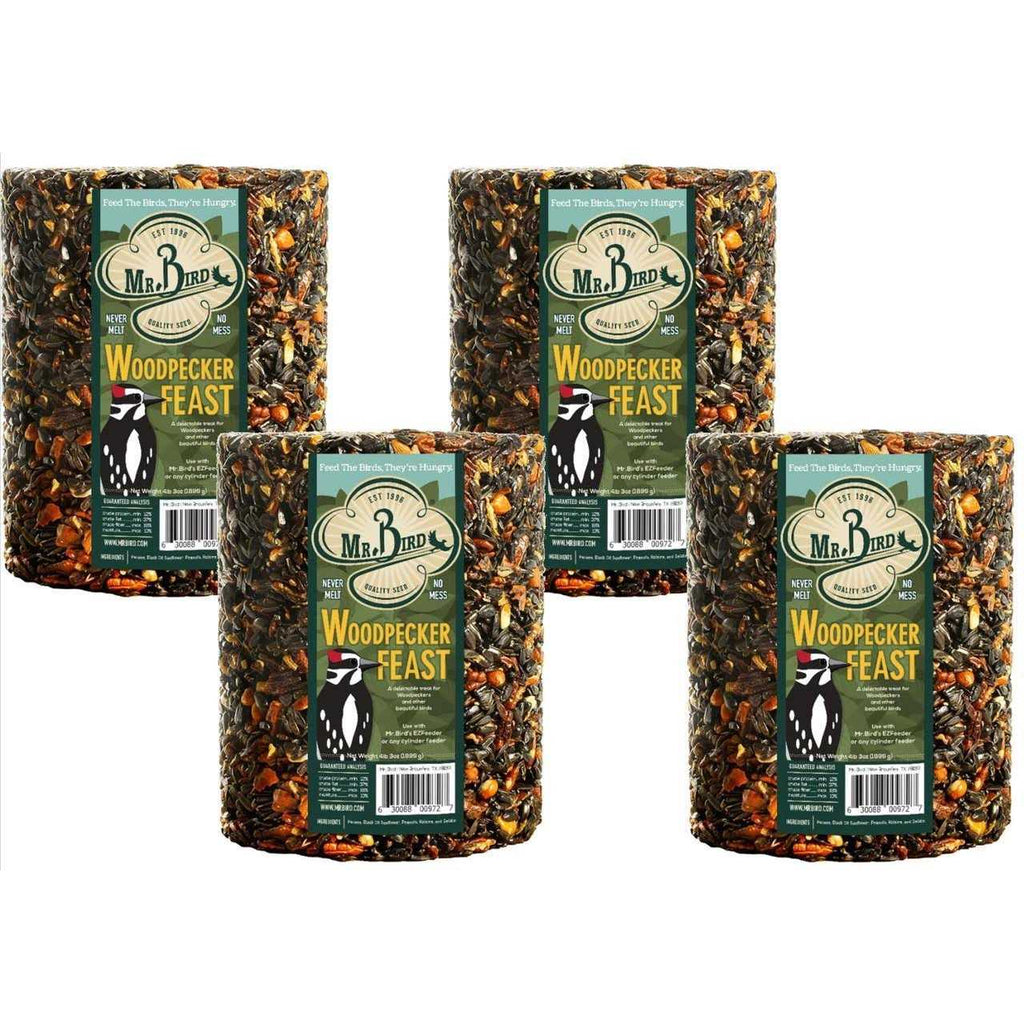 Woodpecker Feast Cylinder N27189