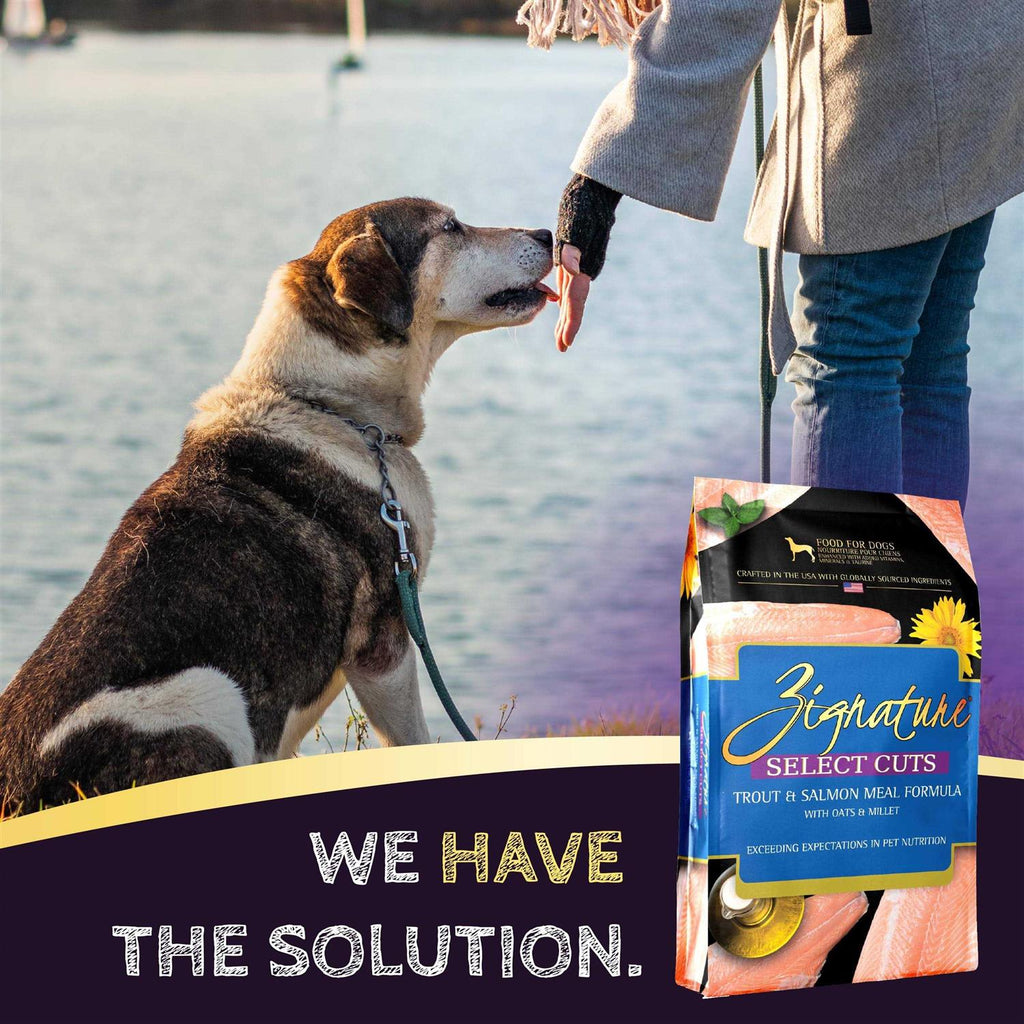 Trout & Salmon Formula Dry Dog Food Q75215
