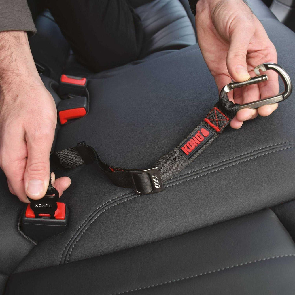 Seat Belt Tether P820