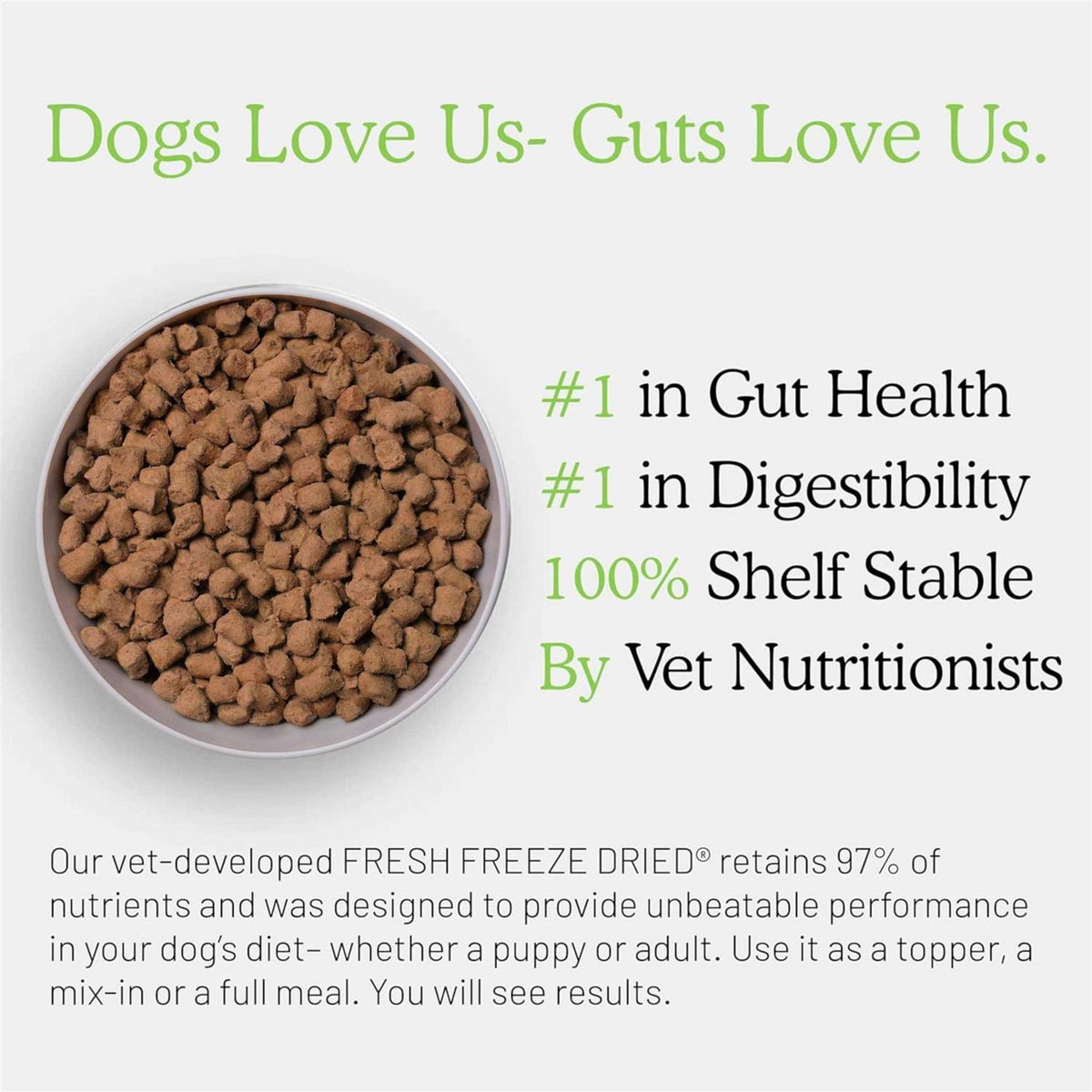 Freeze Dried Raw Beef Dog Food D817725