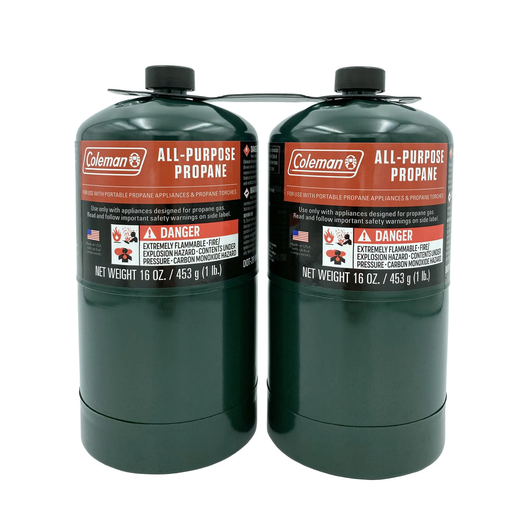 16 ounce 2-Pack Propane Gas Cylinder S50859