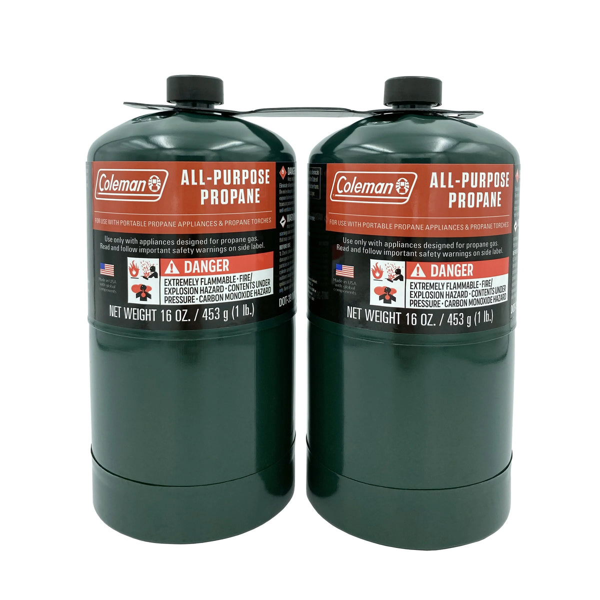 16 ounce 2-Pack Propane Gas Cylinder S50859