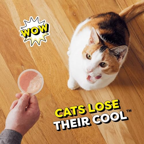 48 Spoons Variety Pack Lickable Wet Cat Treats X8821