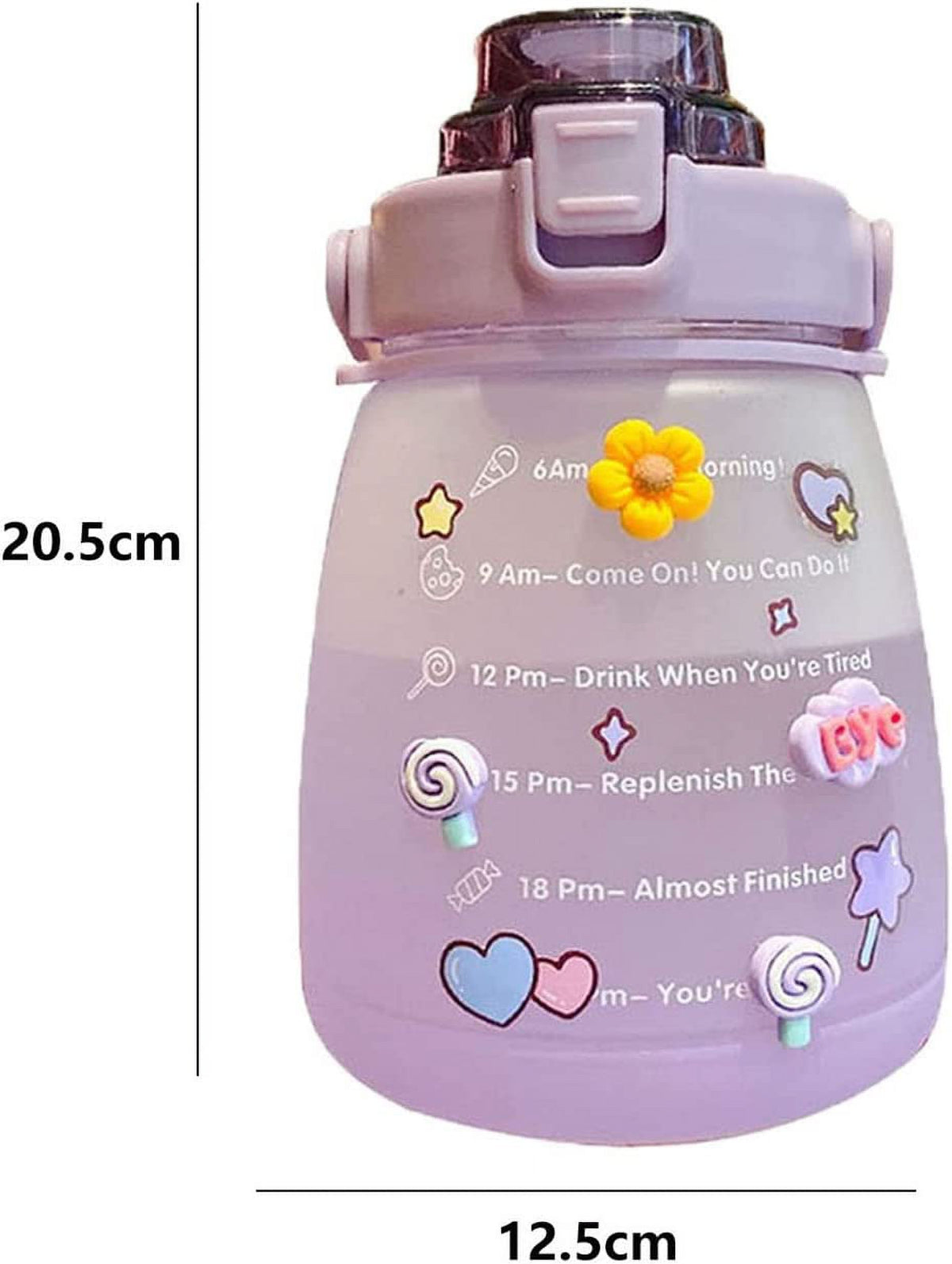 Purple Big Belly Water Bottle with Straw Z63047