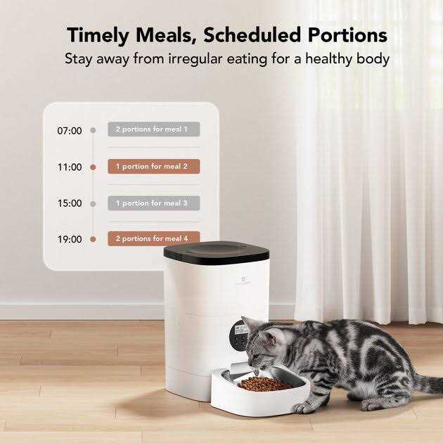 Automatic Dog & Cat Feeder S187396