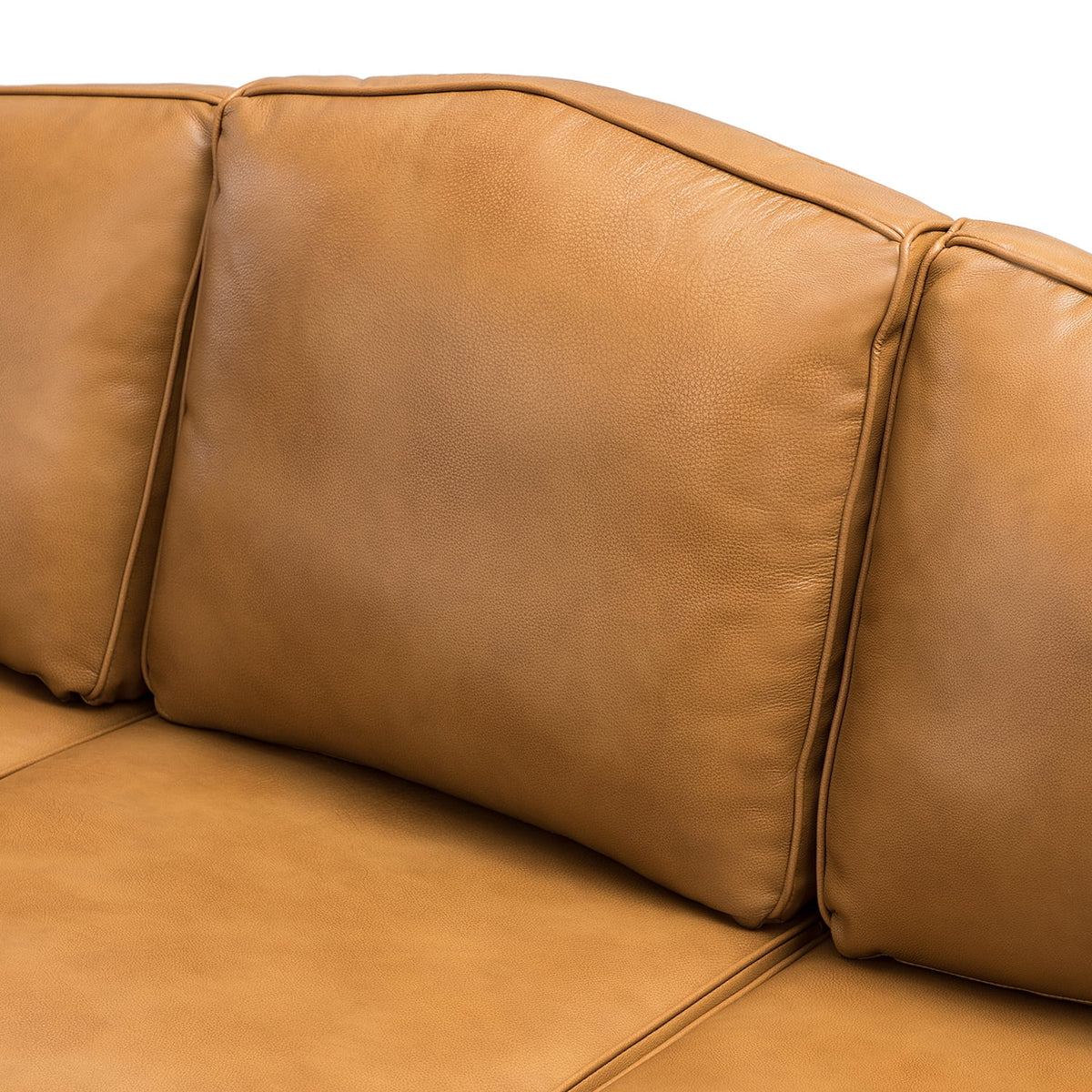 Transitional Sofa with Removable Cushions and Nailhead Trim Z21418