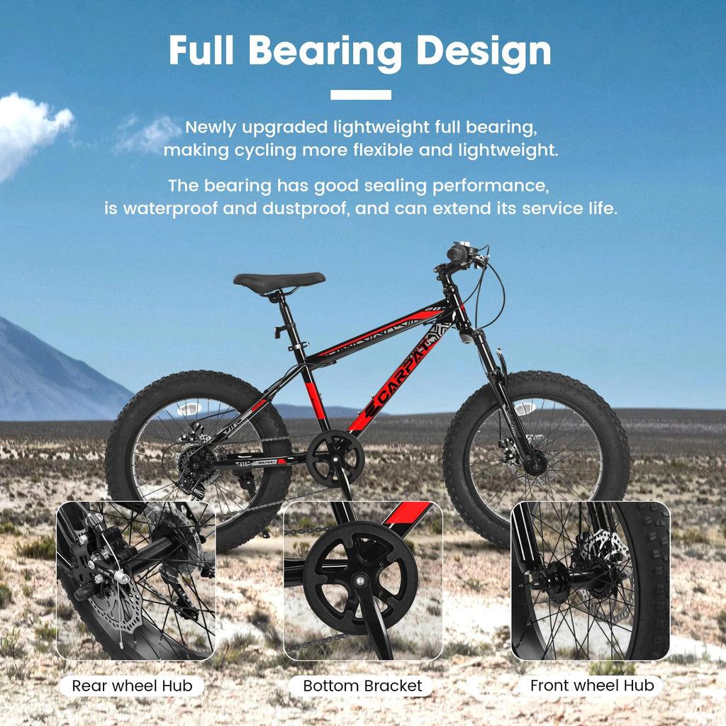 20 Inch Fat Tire 7 Speed Kids Bike M870713