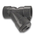 2 inch Threaded FPM Y Strainer P316