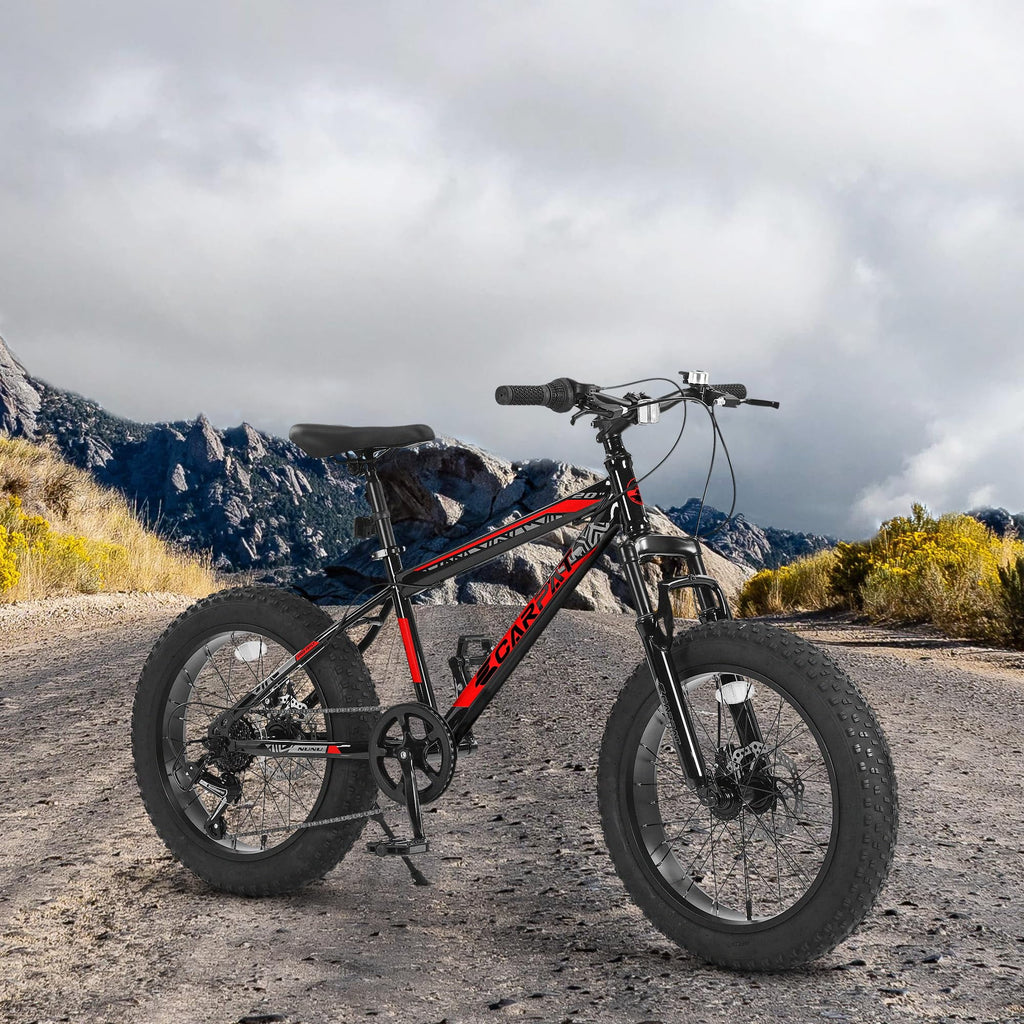 20 Inch Fat Tire 7 Speed Kids Bike M870713