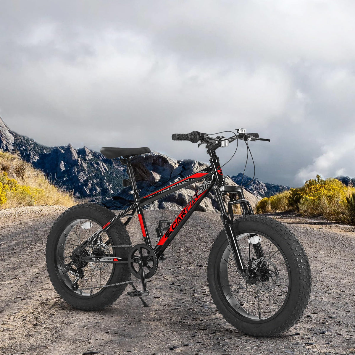 20 Inch Fat Tire 7 Speed Kids Bike M870713