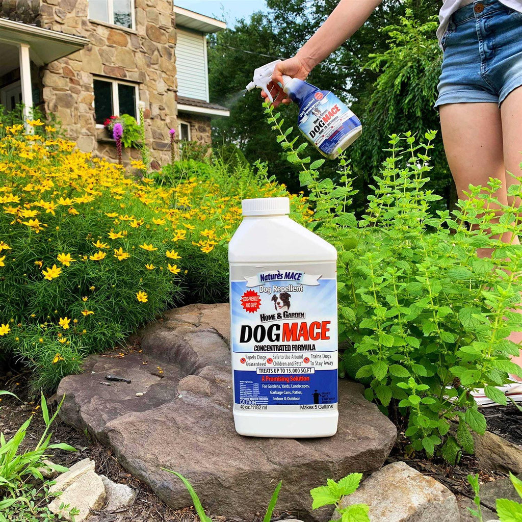 Dog Mace 40oz Concentrate G880